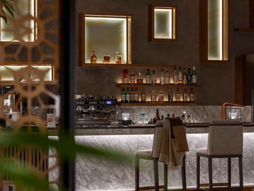 Hotel The Celestine Tokyo Shiba 57/68