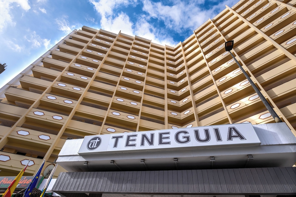 Teneguia