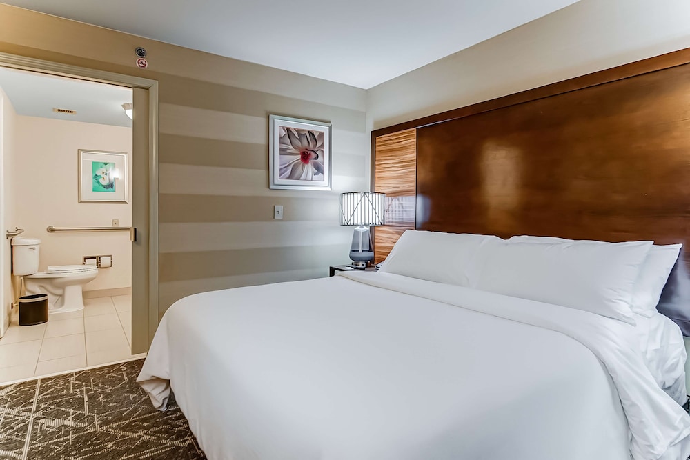 Embassy Suites Atlanta Kennesaw Town Center 18/61
