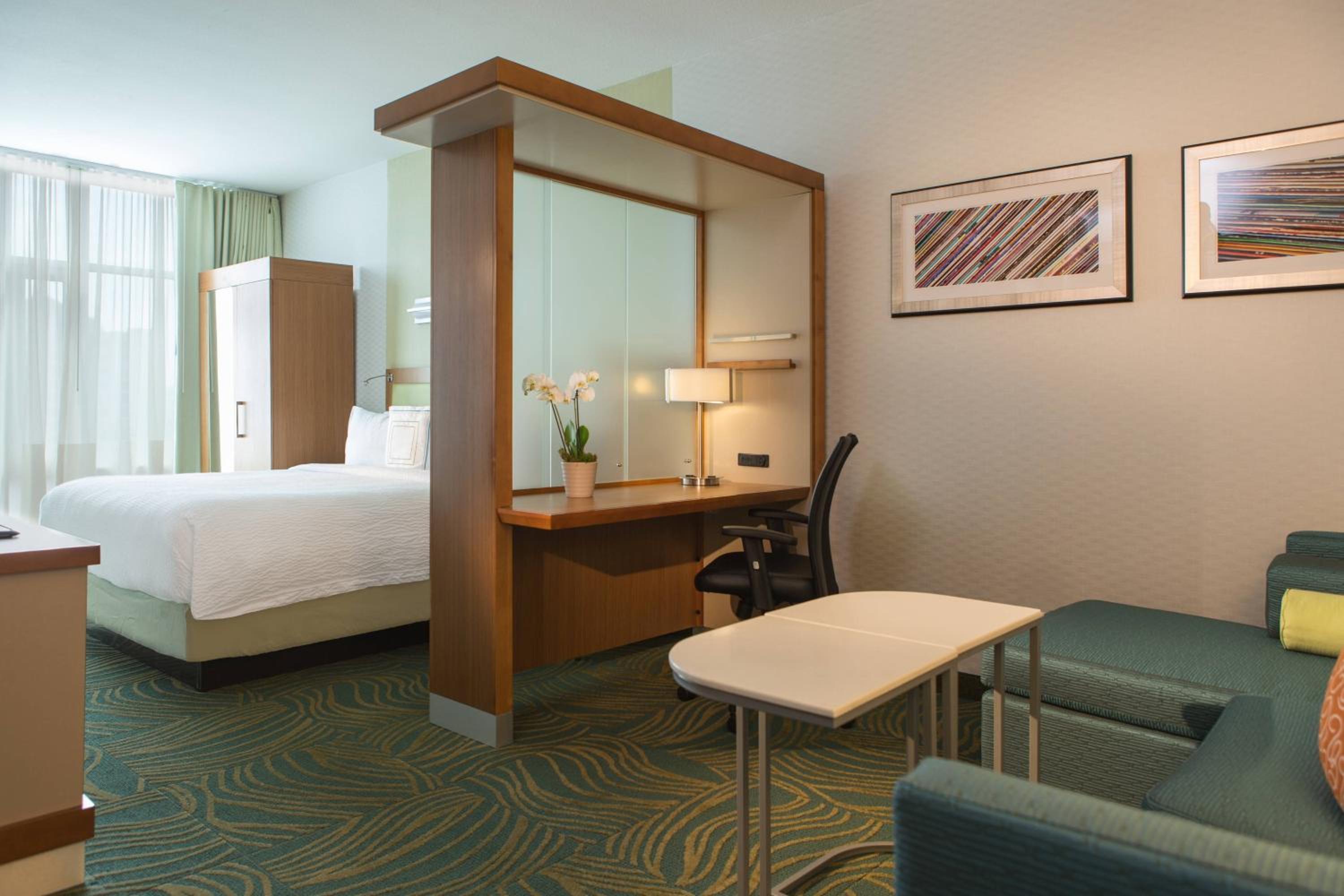 Suite, King Bed, Sofa, Bathtub, Accessible