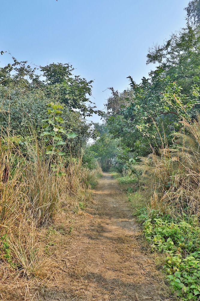 JIMS JUNGLE RETREAT 49/50