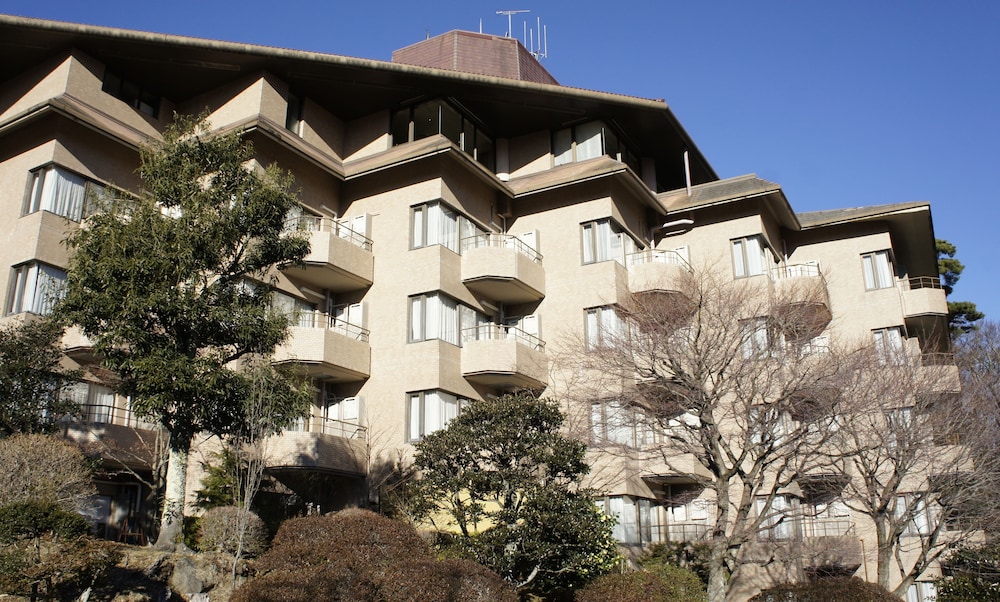 Wisterian Life Club Verde no Mori 7/64