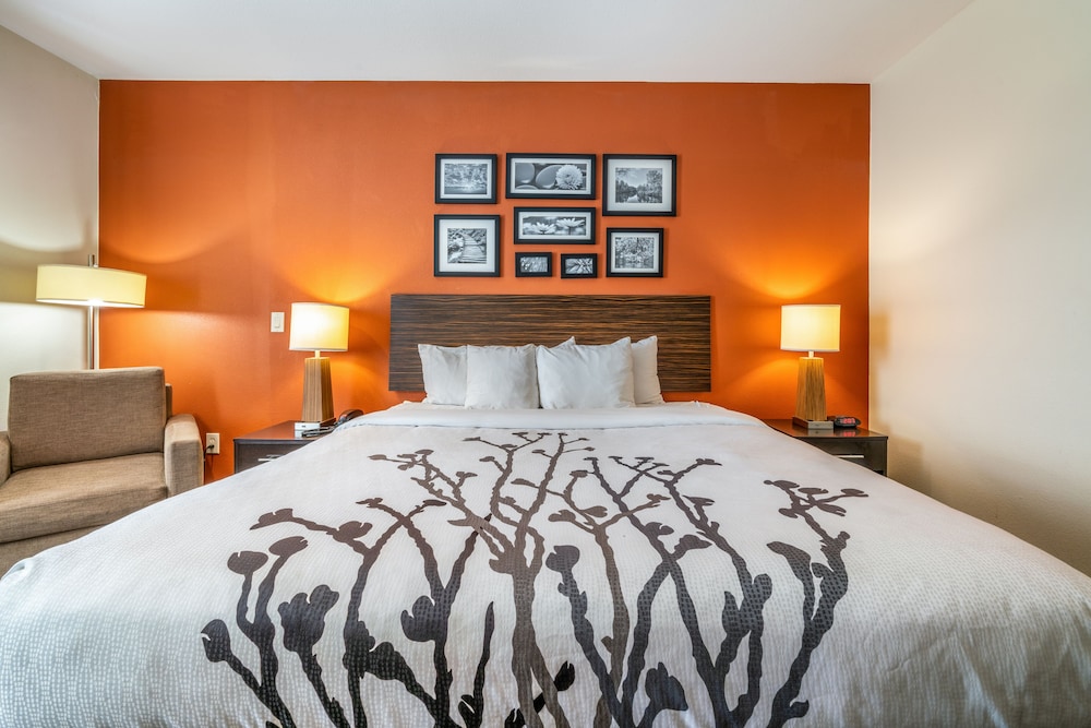 Restwell Inn Suites Houston 13/45