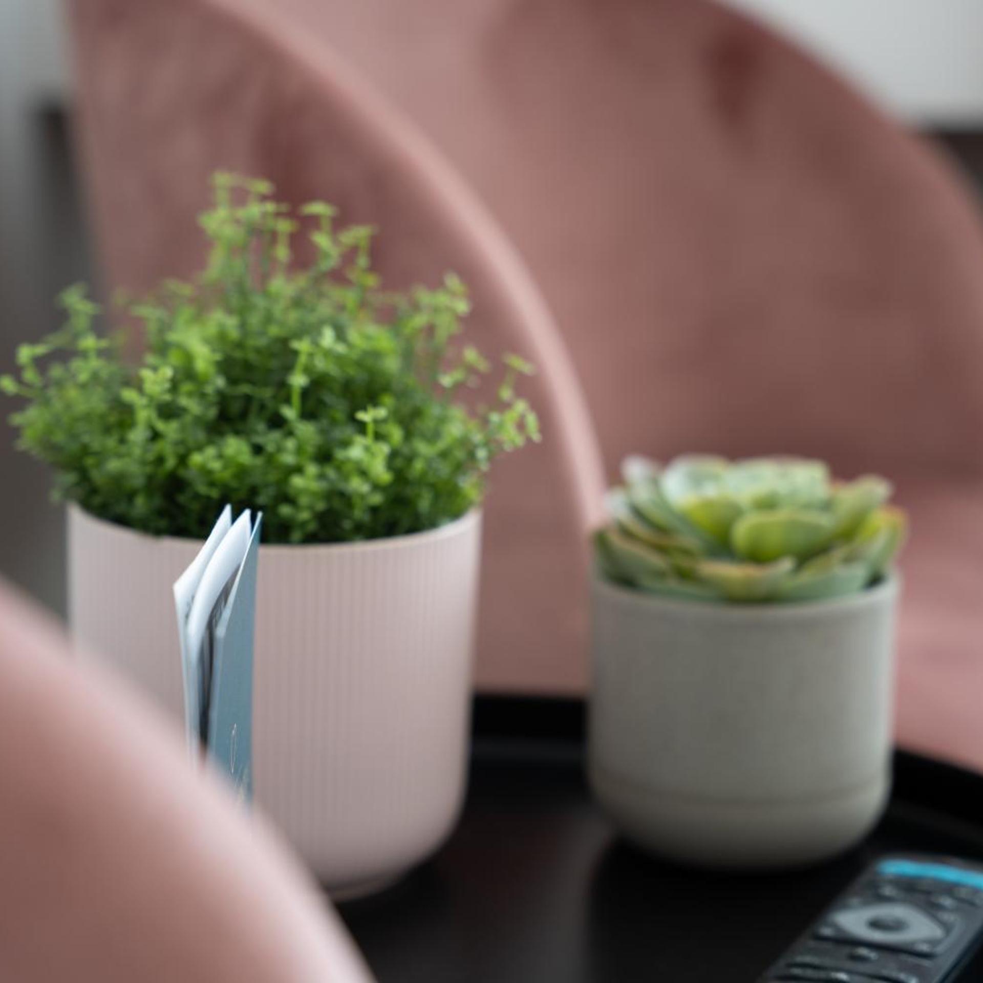 Hotel B&B Stossplatz 32/50