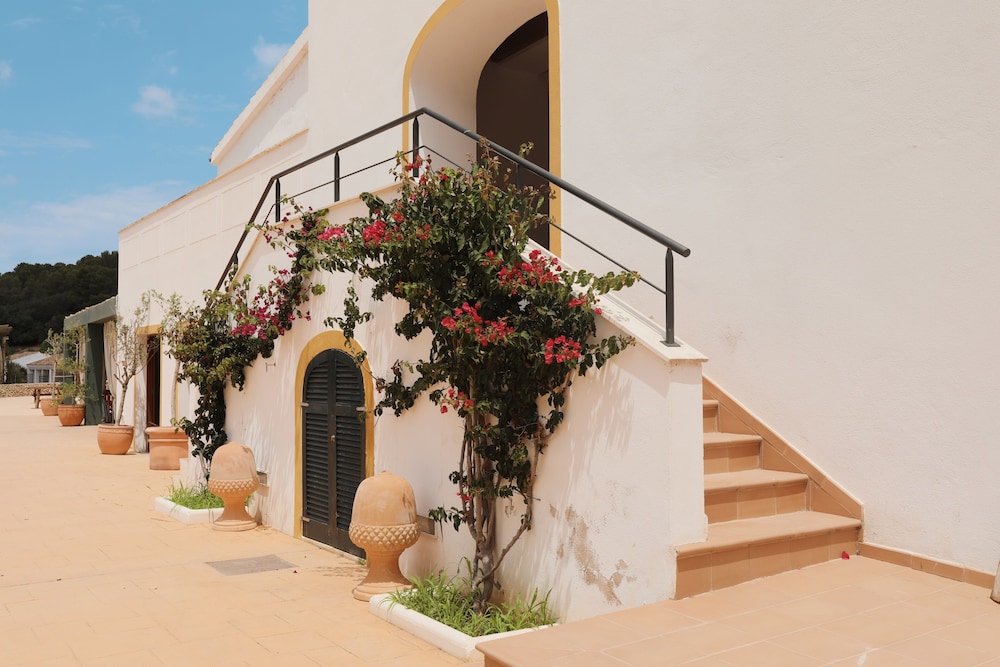 Llucatx Menorca 7/56