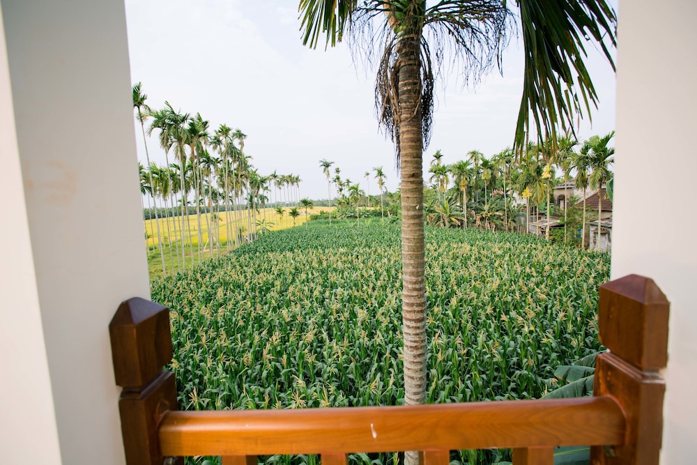New Sunshine Homestay 31/44