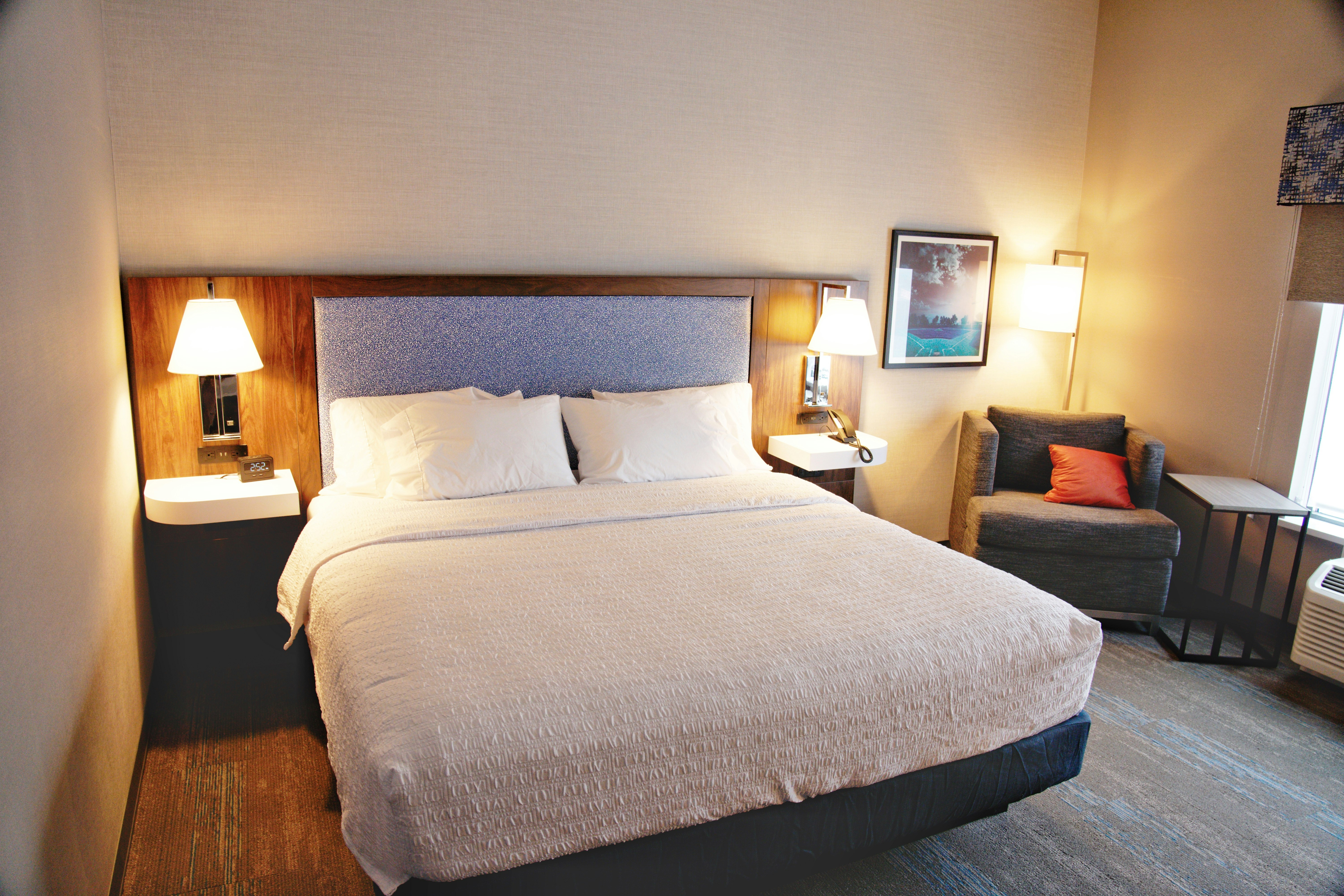 Room, King Bed