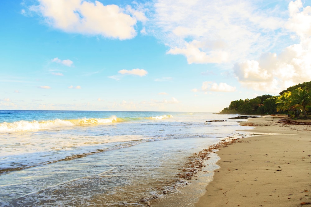 Carambola Beach Resort St. Croix, US Virgin Islands 45/56