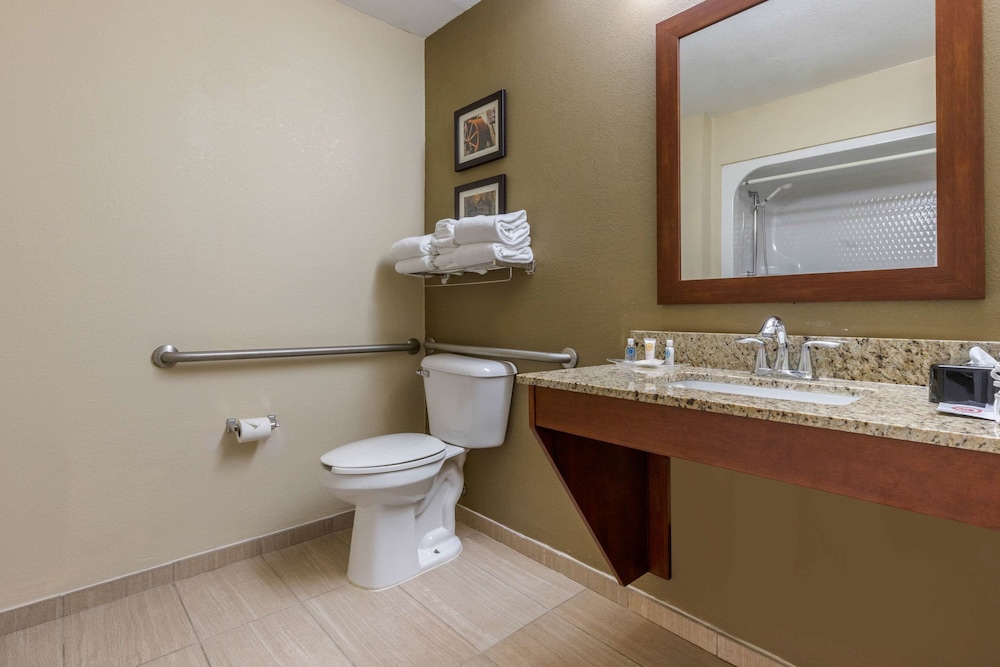 Comfort Suites Johnson City Near University 13/36
