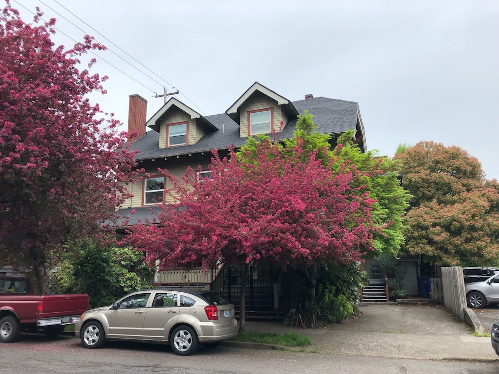 Portland International Guesthouse 41/50