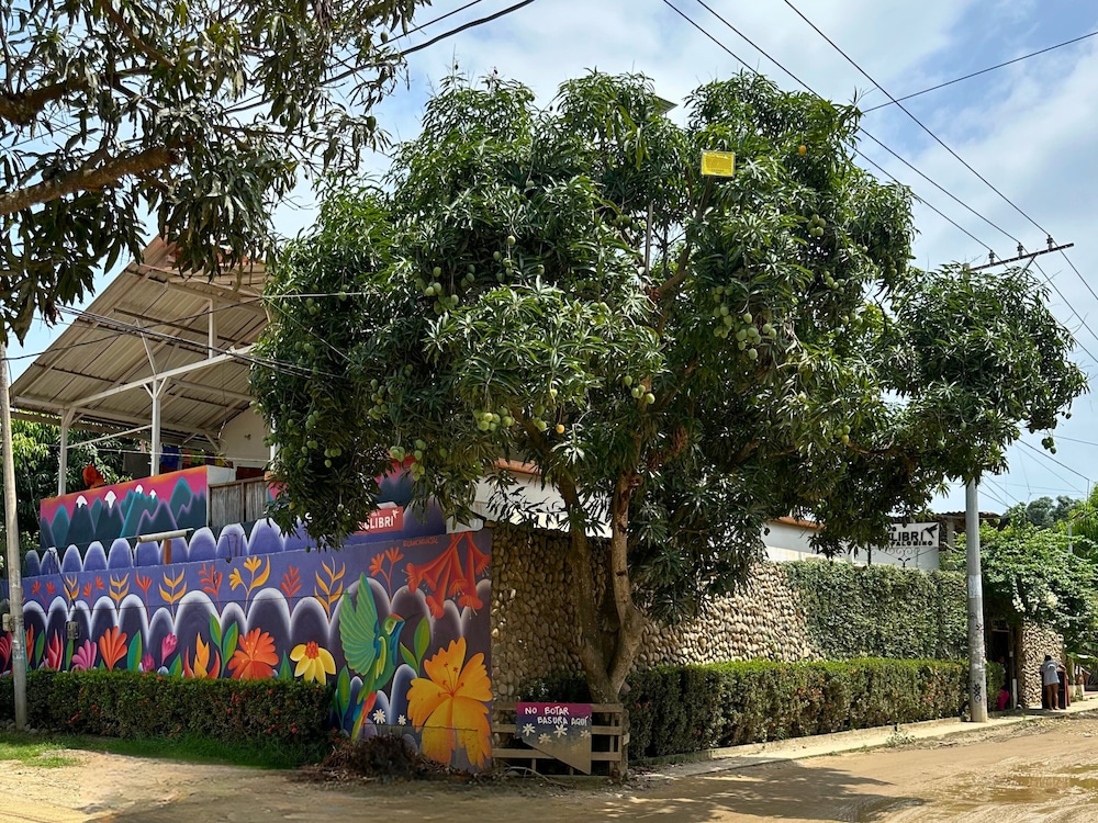 Casa Colibri Palomino 39/50
