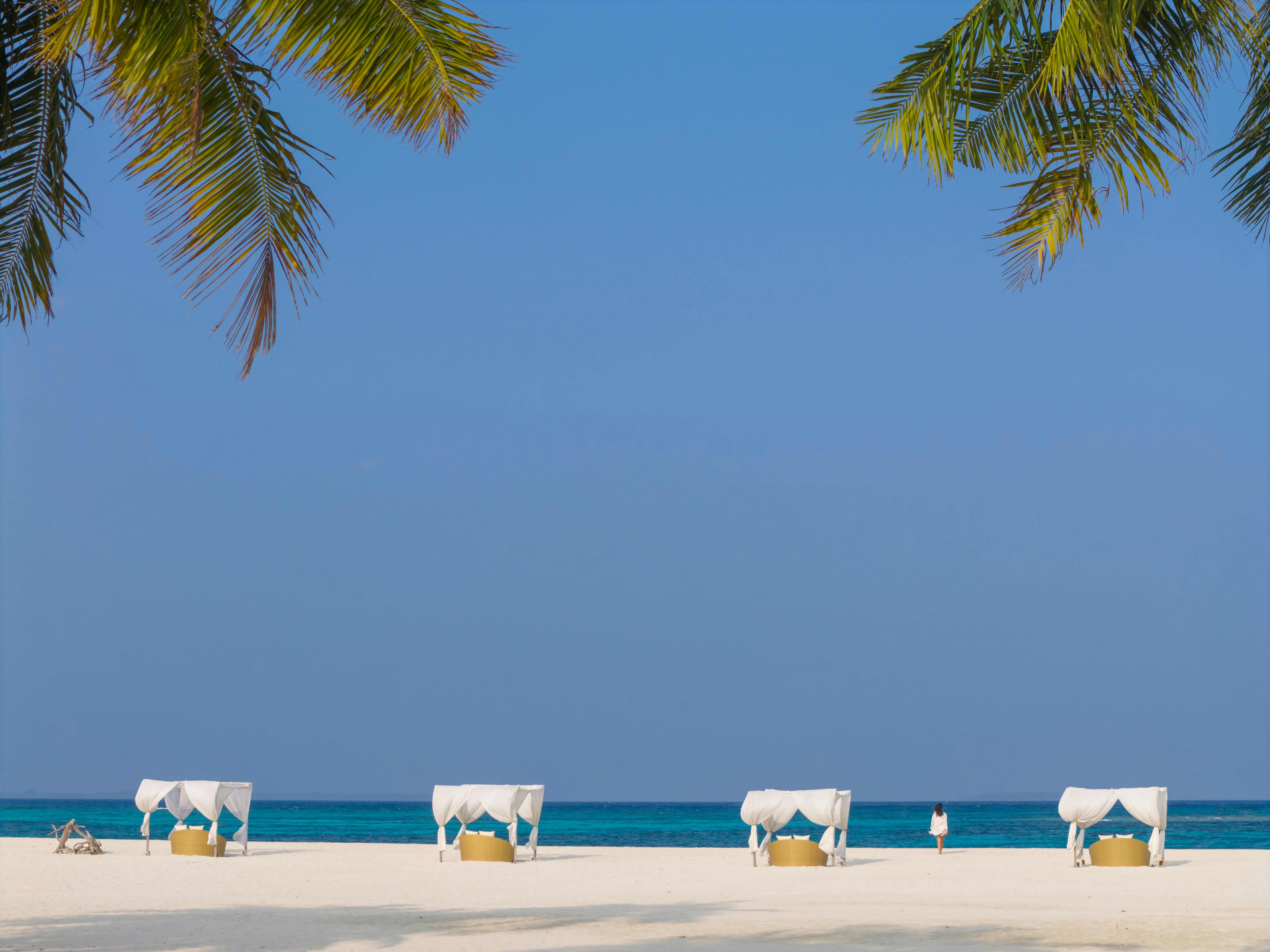 Noku Maldives Vignette Collection 99/103