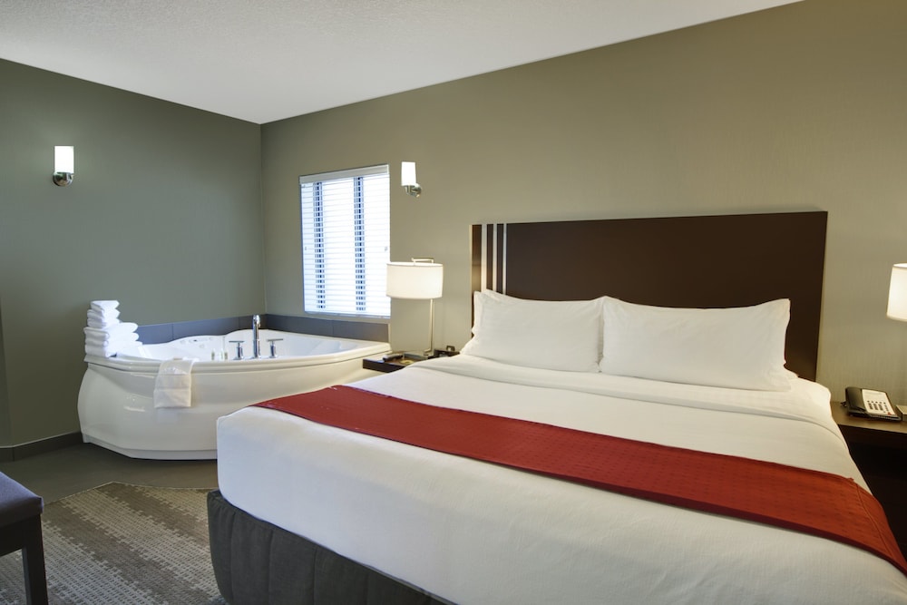 Holiday Inn Calgary- Airport 17/65