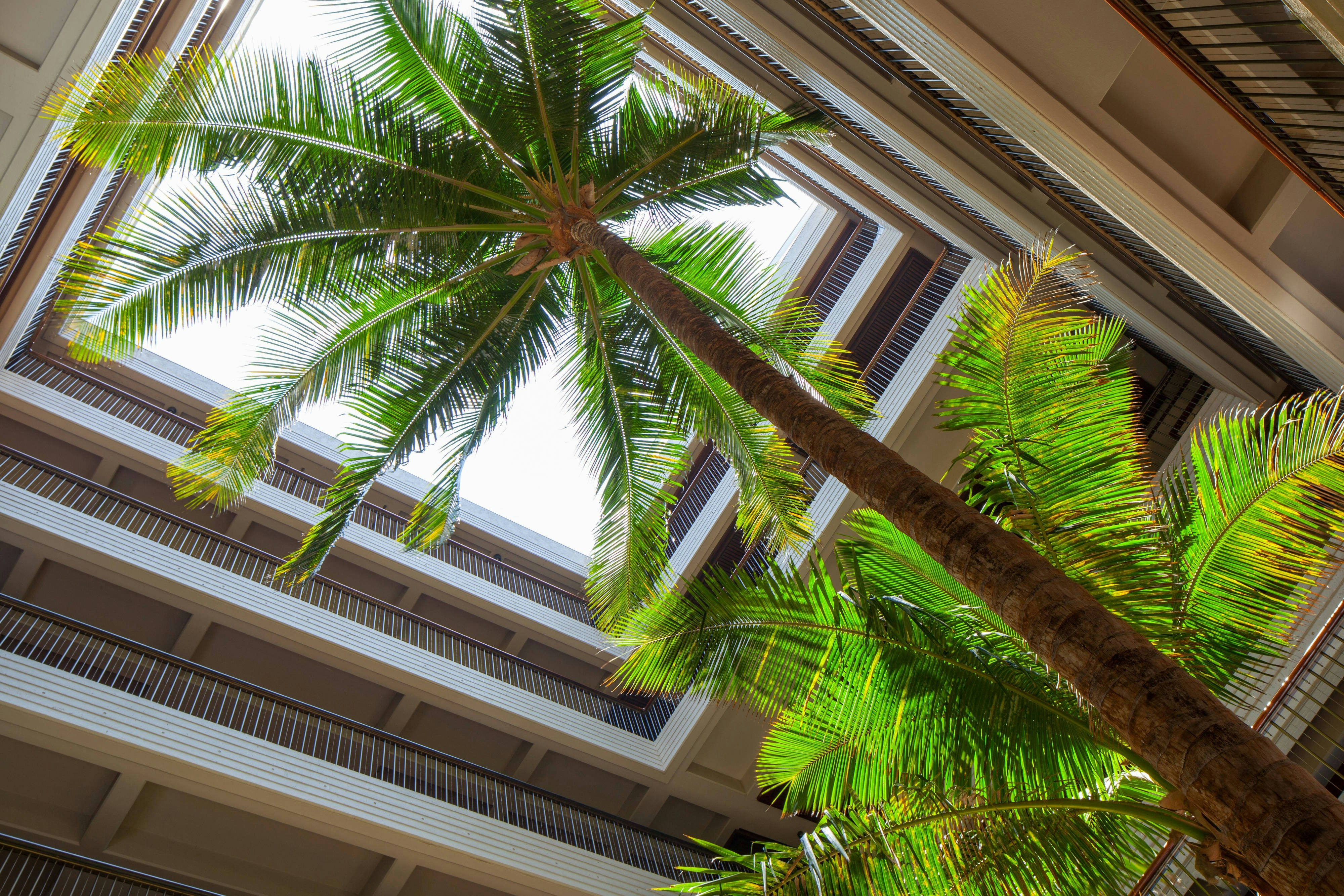 Mauna Kea Beach Hotel, Autograph Collection 7/50