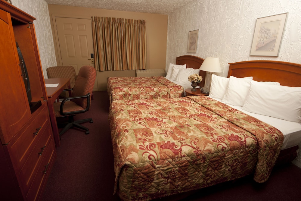 Hotel L'Express 13/65