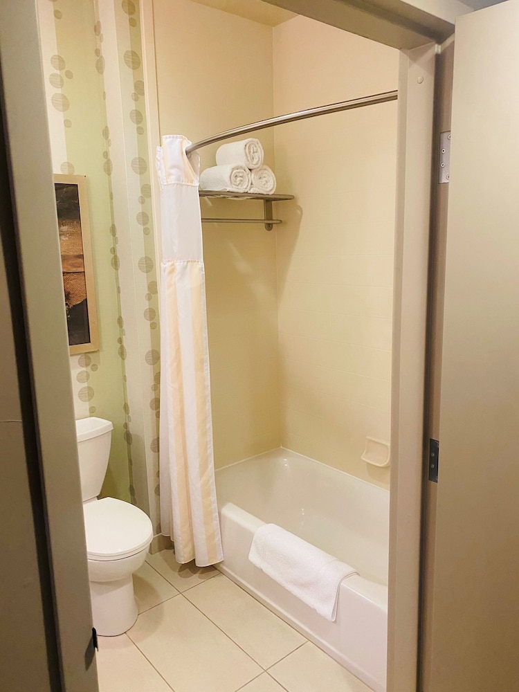 Hilton Garden Inn Fort Worth Alliance Airport 15/59