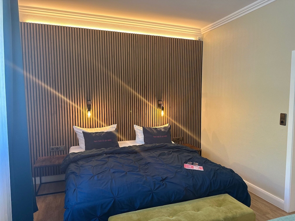 Harz Hotel & Spa Seela 29/73
