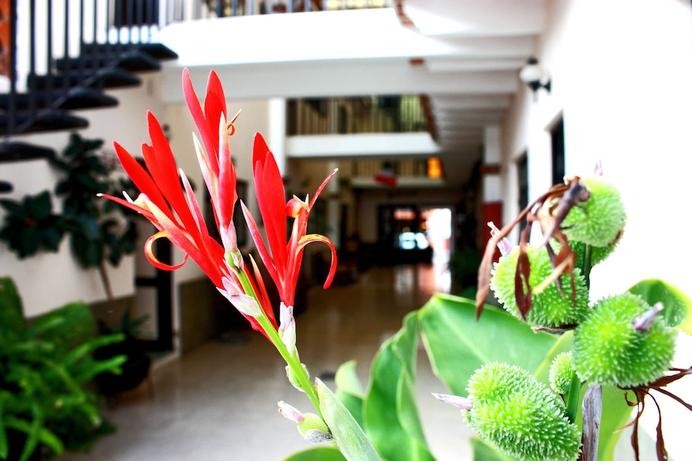Casa Blanca Tequisquiapan Hotel 34/42