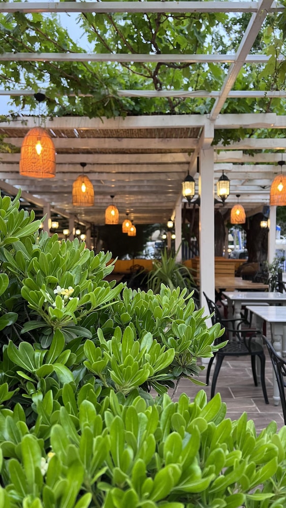 Mimoza Hotel Belcegiz Carsi Cd 7 17/22