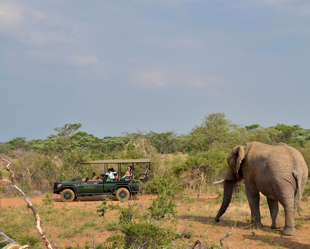 Mabula Game Lodge 5/66