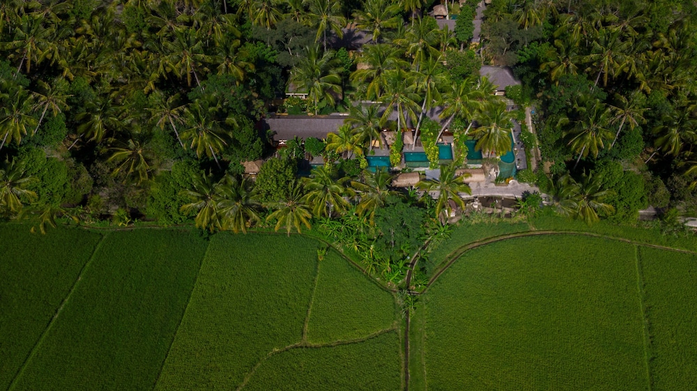 Ubud Padi Villas 50/60