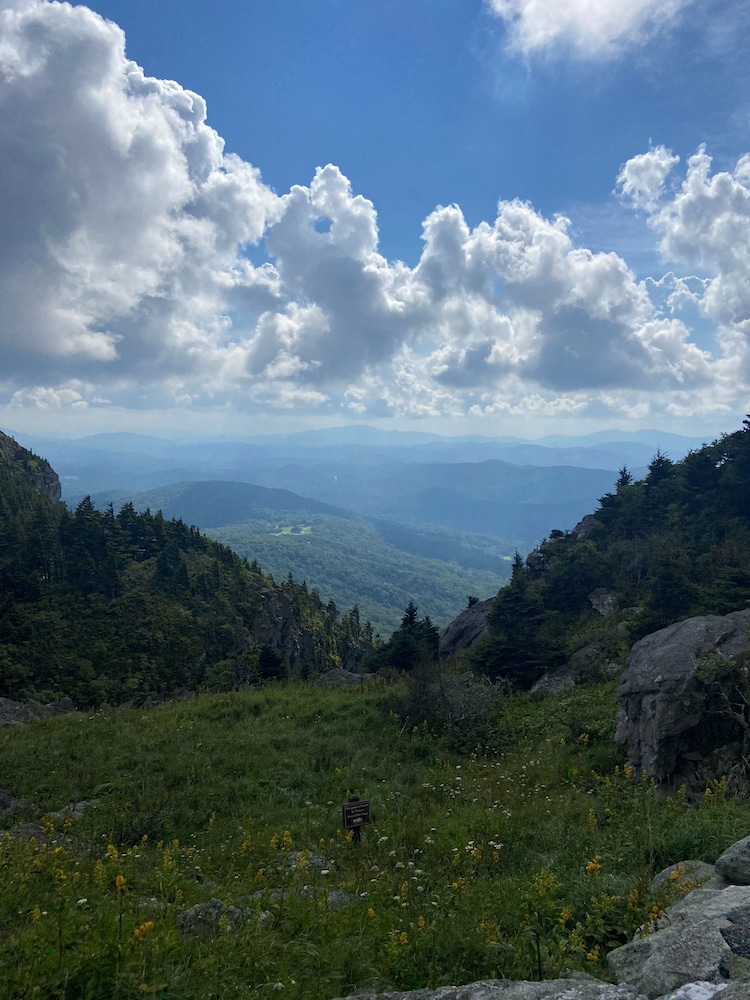 surroundings