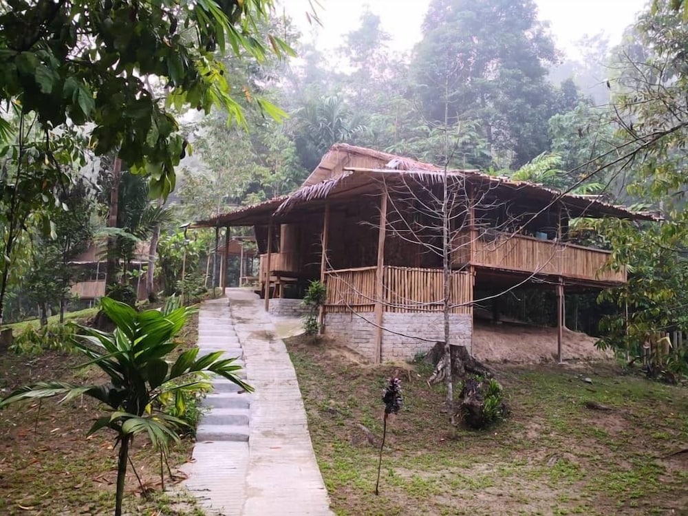 Rain Forest Inn 8/66