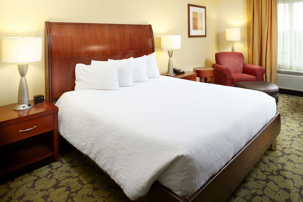 Hilton Garden Inn Dallas/Arlington 18/69