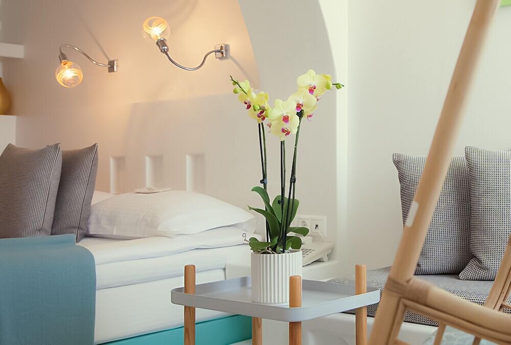 Boutique Hotel Glaros - Adults Only 30/50