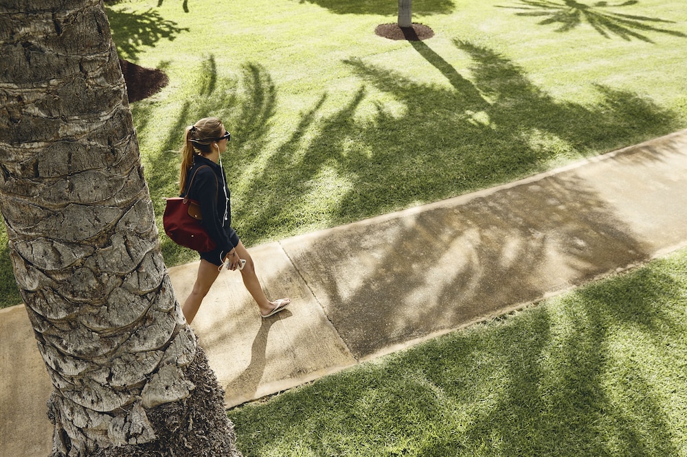 Robinson Club Jandia Playa - Adults only 22/50