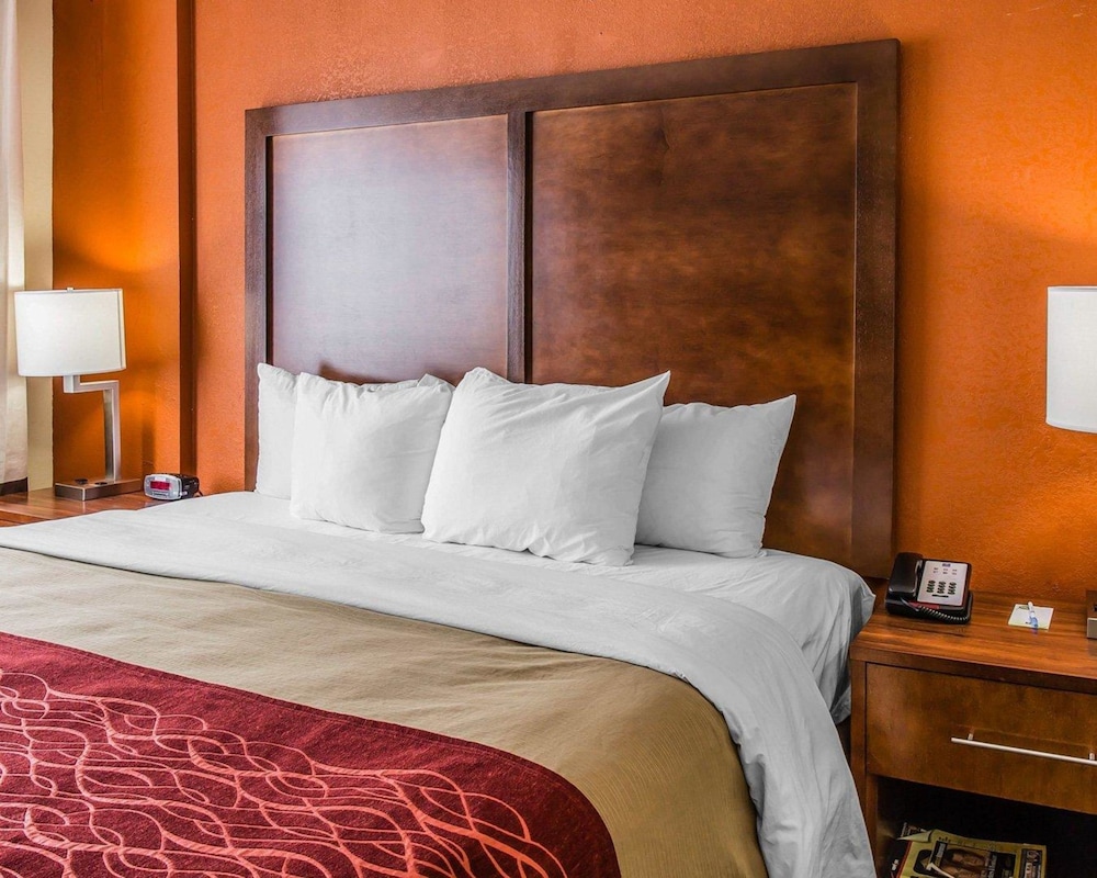Comfort Inn & Suites Lakeland North I-4 10/40