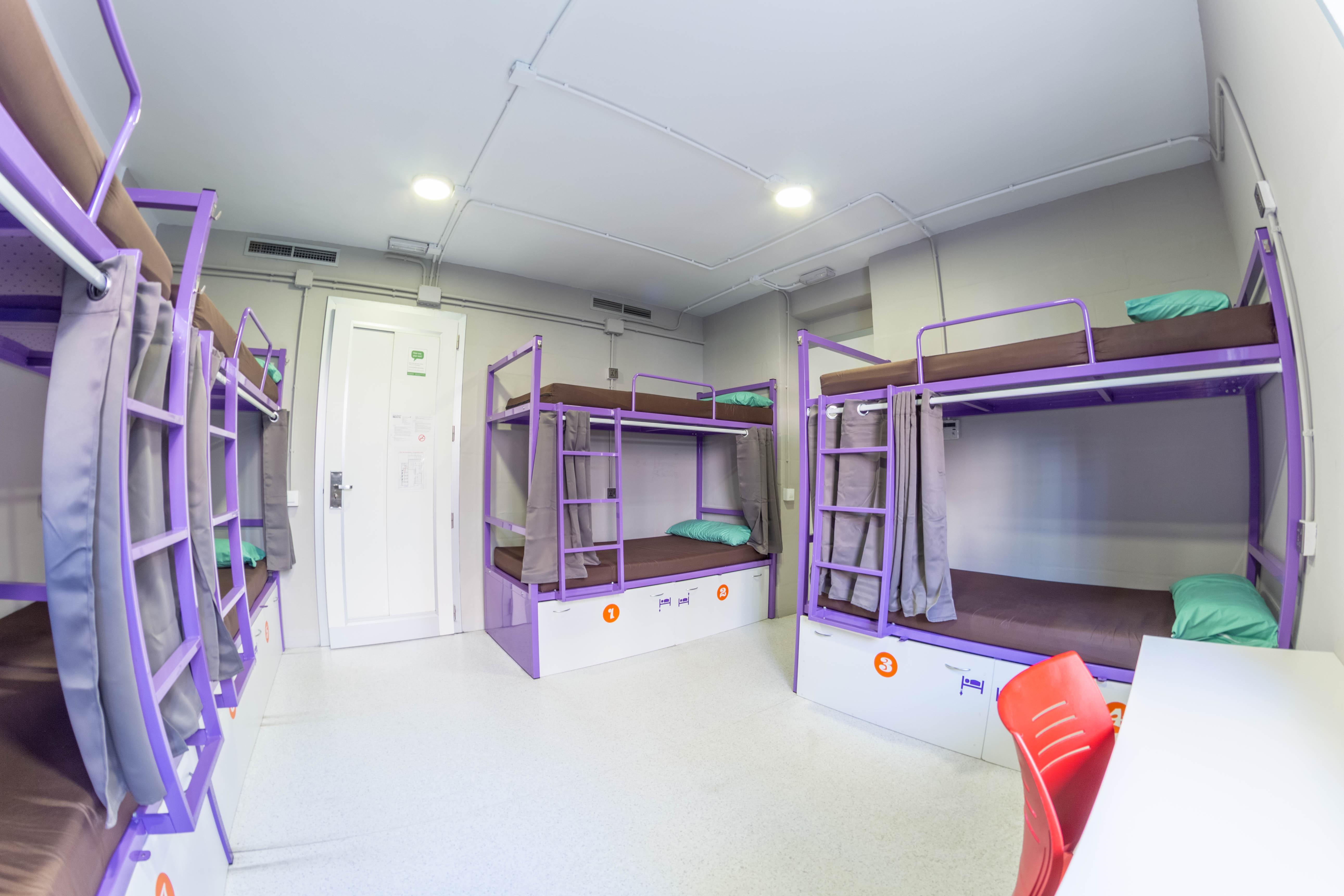 Mixed Dorm, 8 People
