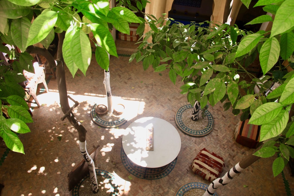 Riad Dama 56/62