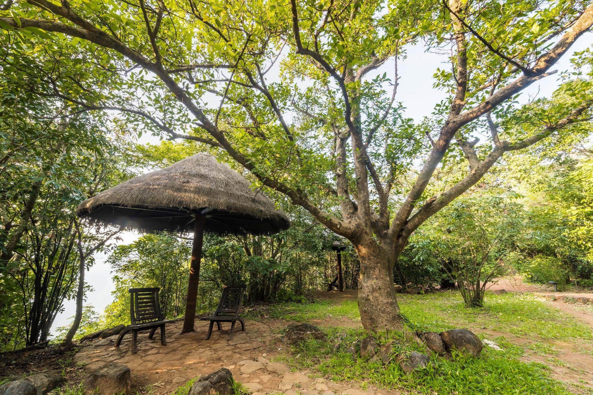 WILDERNEST NATURE RESORT 15/24