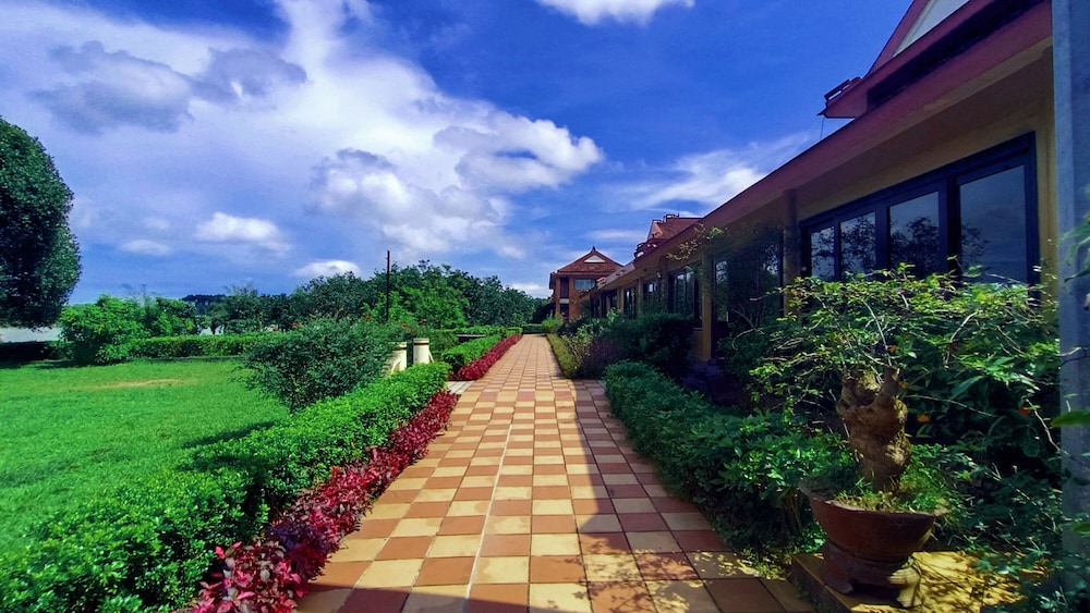 surroundings