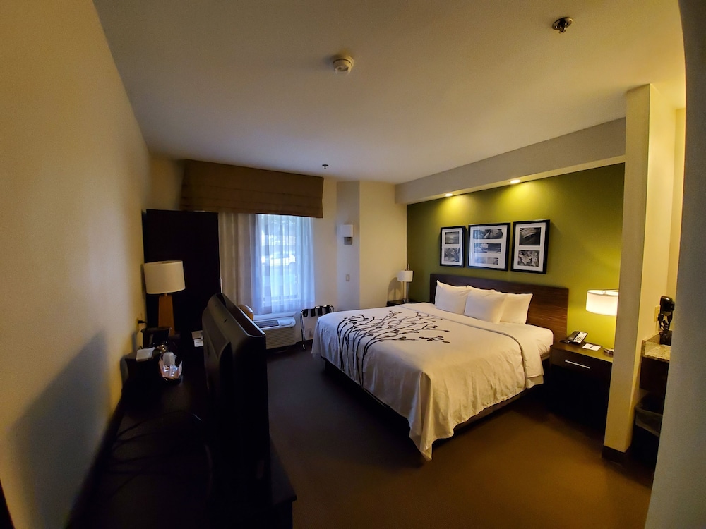 ROOM, QUEEN BED, ACCESSIBLE