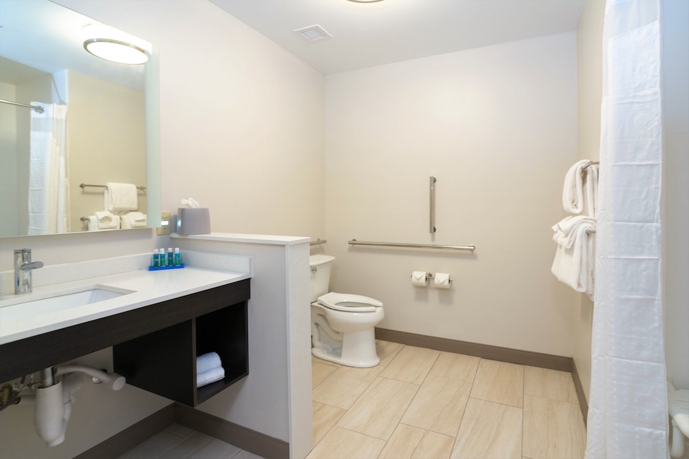 Holiday Inn Express Suites Allen Park 68/72