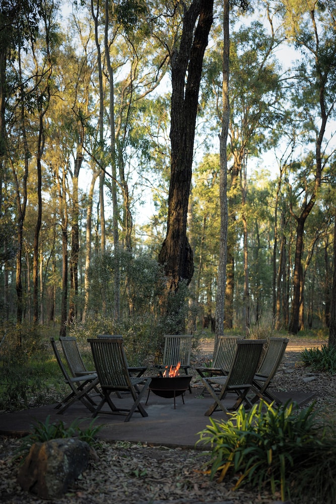 Wild Woods at Pokolbin 30/43