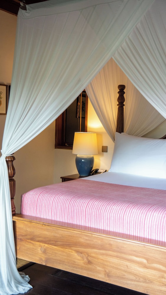 Tree Top, Lodge, Queen Bed