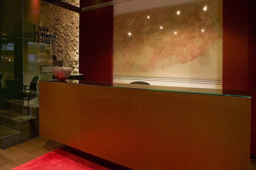 Domus Selecta Casa Torner I Guell 3/46