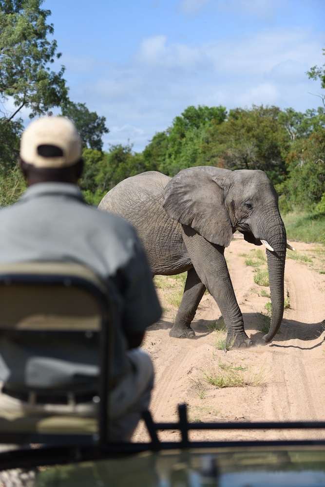 Shumbalala Game Lodge 39/50