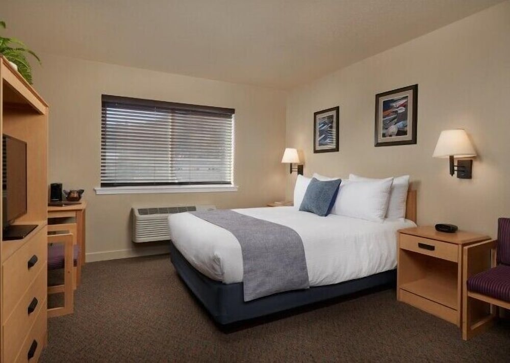 Senior, Studio, Queen Bed