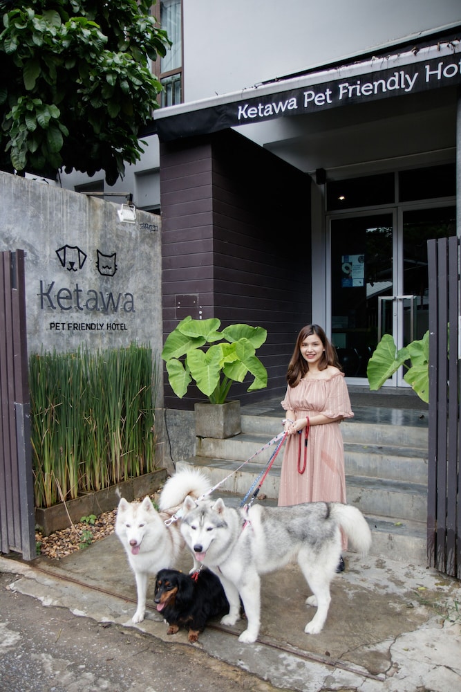 Ketawa Pet Friendly Hotel and Cafe (ex Ketawa Stylish Hotel) 20/43