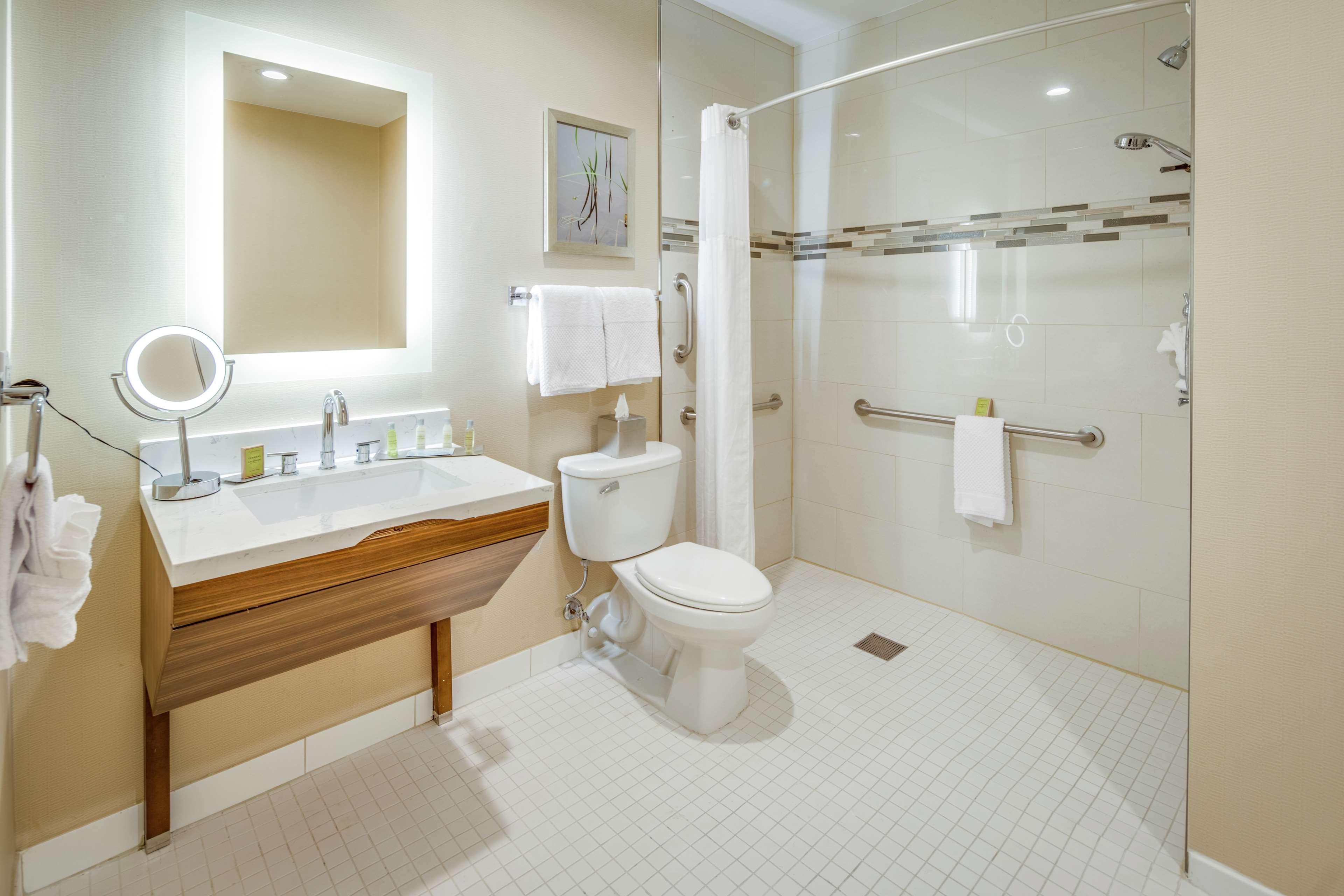 Suite, King Bed