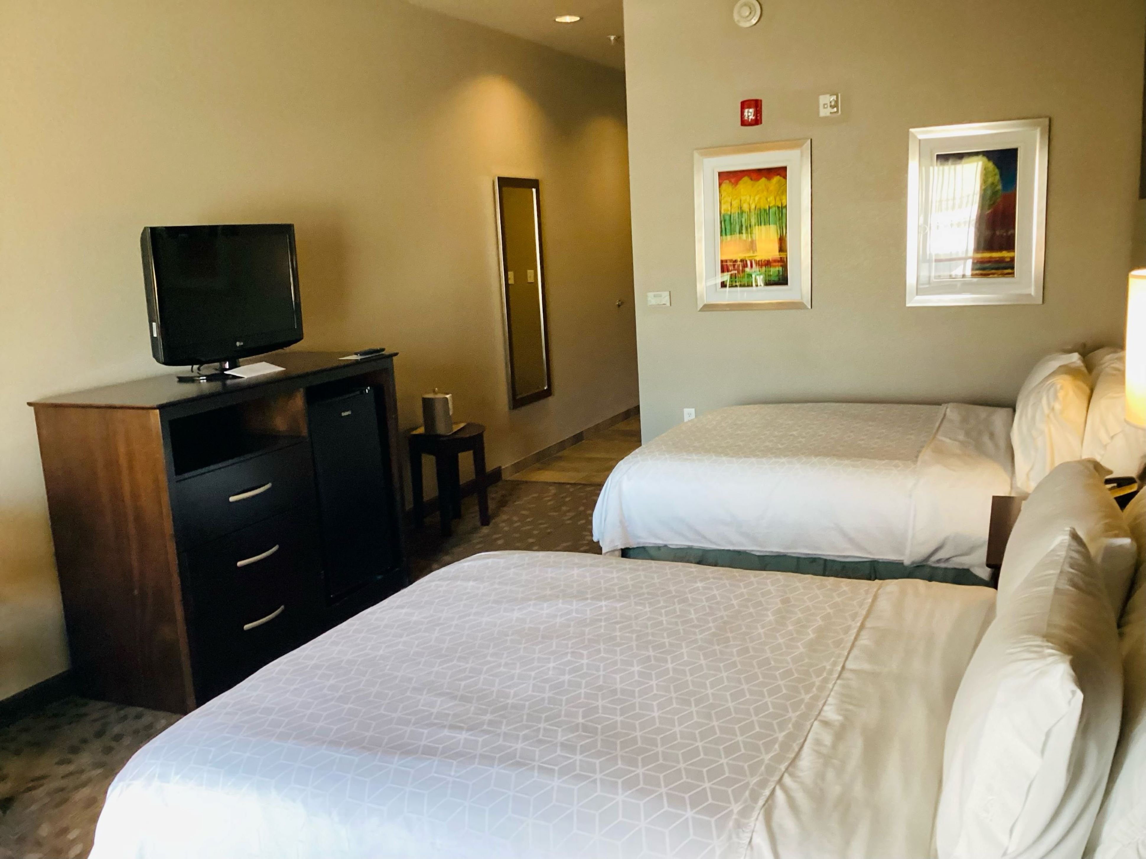 Holiday Inn Express Hotel And Suites Saint Robert Leonard Wood 18/50