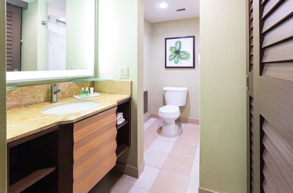 HOLIDAY INN SAN JOSE - SILICON VALLEY 26/67