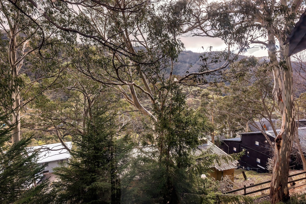 Pure Chalet 25/40
