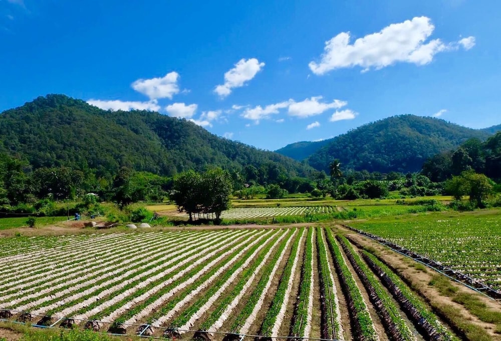 Wongwan Farm 25/28