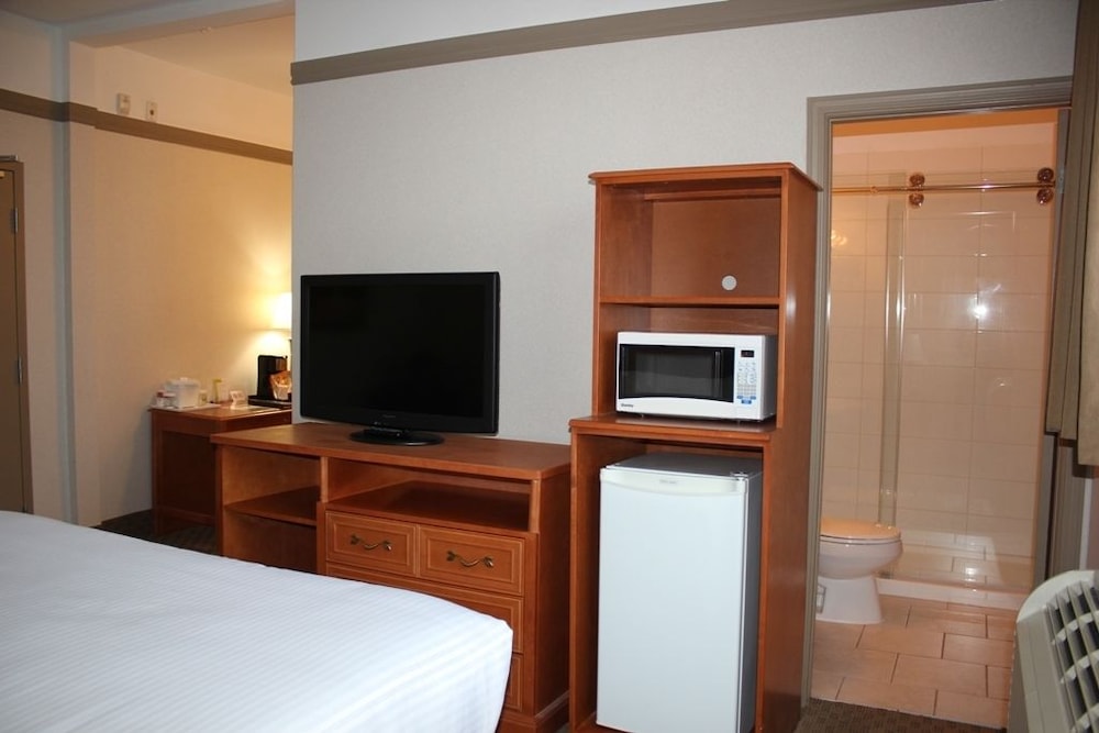 Ramada By Wyndham Edmonton South 20/33