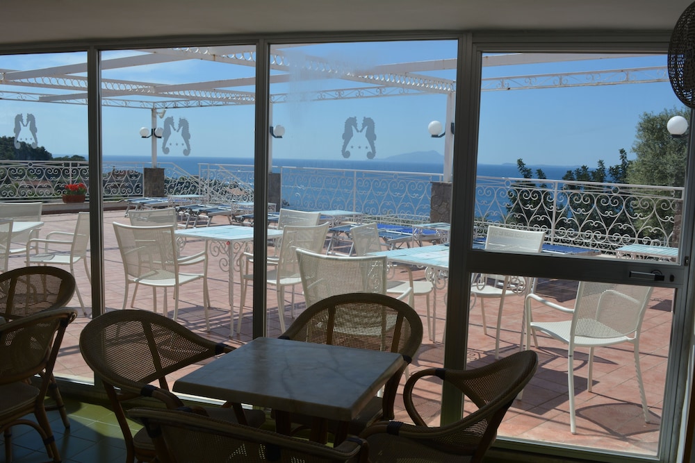 Hotel Dania 48/71